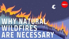 Why certain naturally occurring wildfires are necessary – Jim Schulz