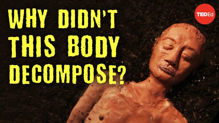 Why didn’t this 2,000 year old body decompose? – Carolyn Marshall