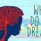 Why do we dream? – Amy Adkins