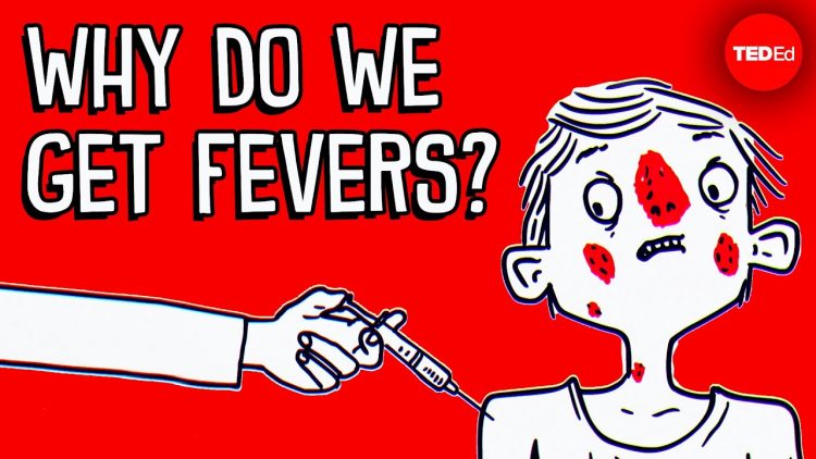 Why do you get a fever when youre sick? – Christian Moro