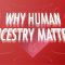 Why Human Ancestry Matters: Crash Course Big History 205