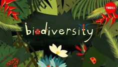 Why is biodiversity so important? – Kim Preshoff