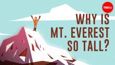 Why is Mount Everest so tall? – Michele Koppes