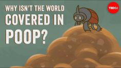 Why isnt the world covered in poop? – Eleanor Slade and Paul Manning