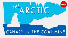 Why the Arctic is climate changes canary in the coal mine – William Chapman