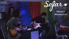 Wooly Mammoth – Hasty | Sofar Perth