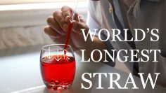 Worlds Longest Straw