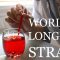 World’s Longest Straw