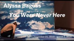 Alyssa Baguss: You Were Never Here