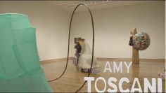 Amy Toscani: CHASTUSHKI