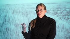 Catherine Meier – Of Us and Art: The 100 Videos Project, Episode 42