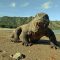 David und die Komodowarane (360° – GEO Reportage)