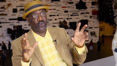 Delroy Lindo on Revelations: Art from the African American South