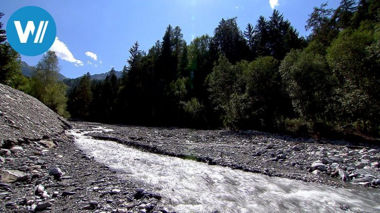 Der wilde Rhein | Der Rhein von oben (1/5)