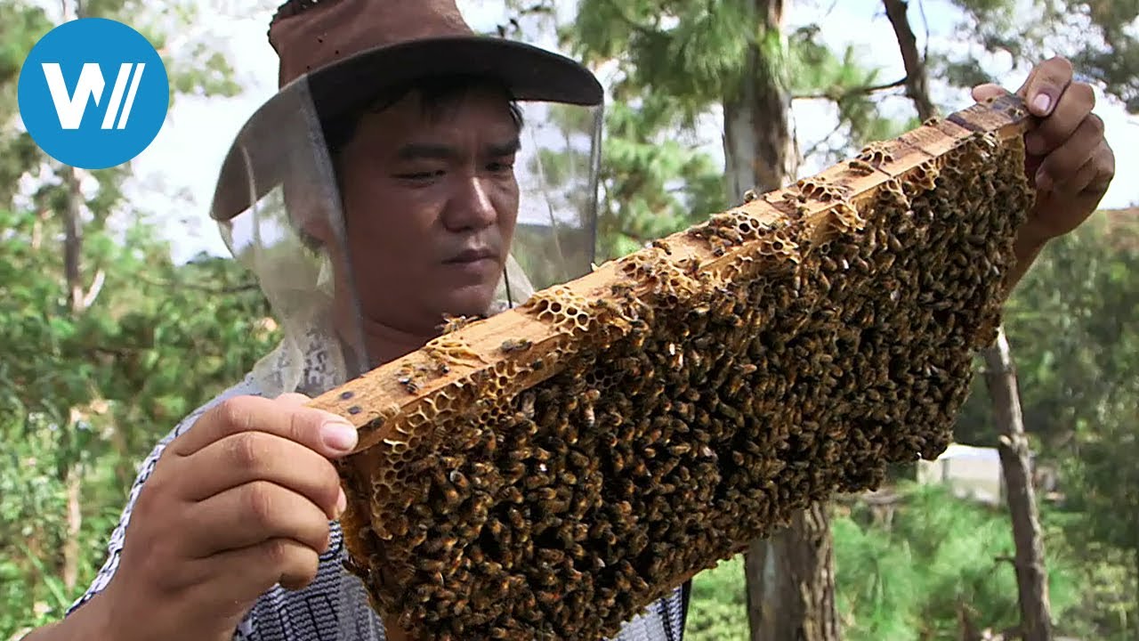 如何让你的暗恋对象喜欢你