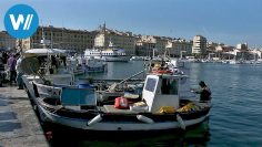 Frankreichs sonniger Süden – Von Marseille durch die Camargue nach Arles (Reisereportage, 2015)