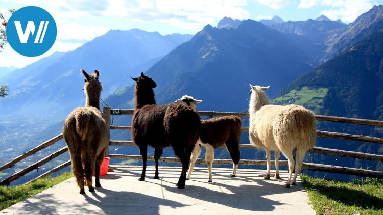 Italiens Berge neu entdeckt | Das hohe Herz Europas (3/4)