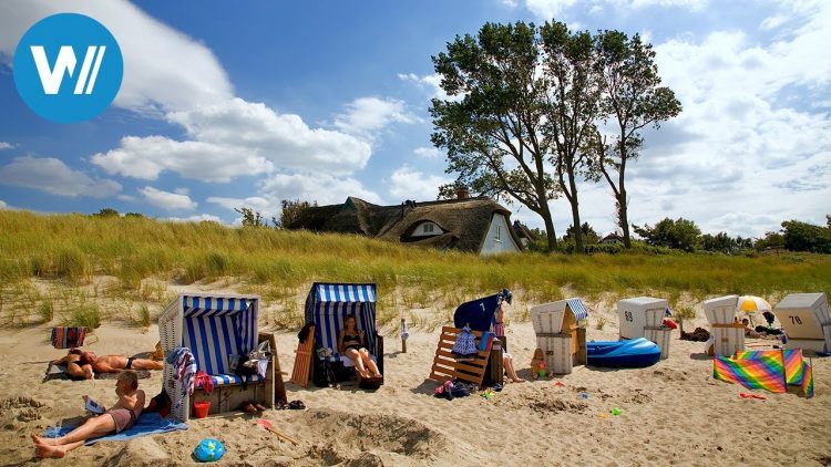 北部海岸 (3/6): Von den Halligen nach Sylt | Dokuserie über Nord- und Ostsee