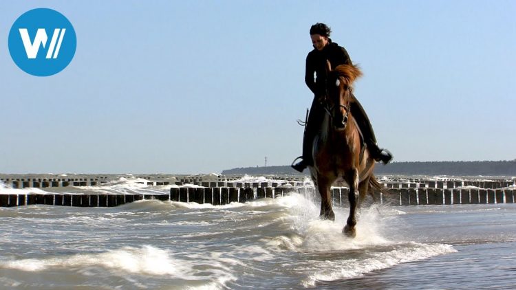 Küsten des Nordens (5/6): Von Lübeck zum Darß | Dokuserie über Nord- und Ostsee