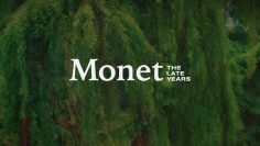 Monet: The Late Years