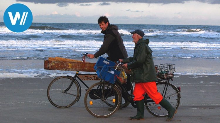 Niederlande: Widerspenstiges Land unter dem Meeresspiegel | An der Nordseeküste (5/5)