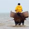 Pêche aux crevettes à cheval : une tradition en Belgique – Extrait de “Belgique entre Ciel et Terre”