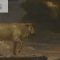 Poussin’s ‘Golden Calf’ | Talks for All | National Gallery