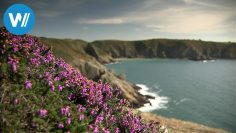 Sark, die Kanalinsel der Queen (360° – Archive by Category "世界旅游WOT)