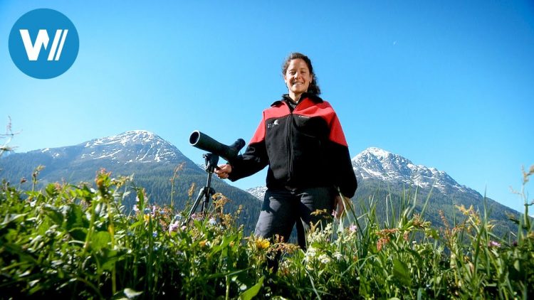 Schweizer Berge neu entdeckt | Das hohe Herz Europas (4/4)