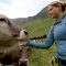 Summer job as a shepherd in the mountains