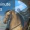 Van Dyck’s ‘Charles I’ in 10 minutes | Art history | National Gallery