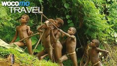 Vanuatu – An exotic journey from Port Vila to Pentecost Island | 3D Planet