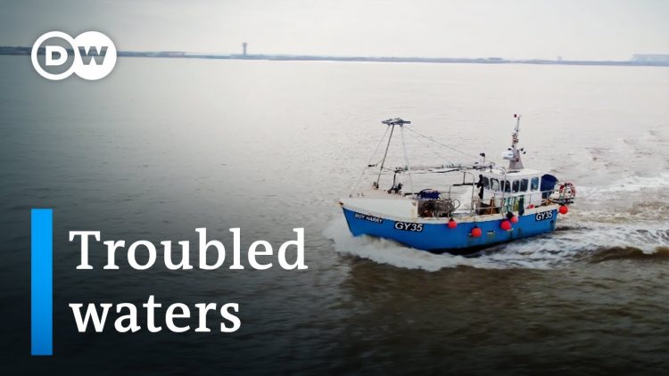 Brexit and British fishermen | 德国之声纪录片