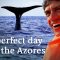 Discover the Azores | A perfect Day on the Azores | Best things to do on the Azores