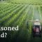 Is Parkinson’s disease related to pesticide use? | DW Documentary