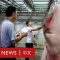 非洲豬瘟：沒有豬肉吃的中國家庭怎麼辦？－ BBC News 中文