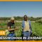 Fresh Farm: Farmer and Businesswoman in Zimbabwe I Africa Direct Documentary