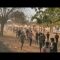 Several protesters killed in rallies in Sudan • FRANCE 24 English