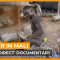 The Adventures of Boubacar: A miner in Mali | Africa Direct Documentary