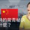 中共的常青秘訣是什麼？| DW德媒怎麼說？