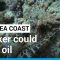 Tanker could spill oil along whole of Red Sea coast, UN warns • FRANCE 24 English