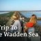 A Virtual Tour of Germany | The Wadden Sea: Mudflats, Halligen and Sandy Beaches