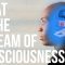 What is the Stream of Consciousness?