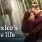 Love and sex – Taboos in Mexico | DW Documentary