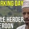 A Working Day – Cattle Herder, Cameroon