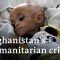 A year into Taliban rule: Mass hunger plagues Afghanistan | DW News