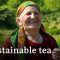 Tea: New ideas for the world‘s second most popular drink | DW Documentary