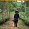 🇲🇦🇻🇳40 Years of Solitude l Al Jazeera World