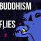 Zen Buddhism and Fireflies