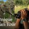 The Best Time to See Africa’s Wildlife | On Safari at Kruger Park During the Pandemic